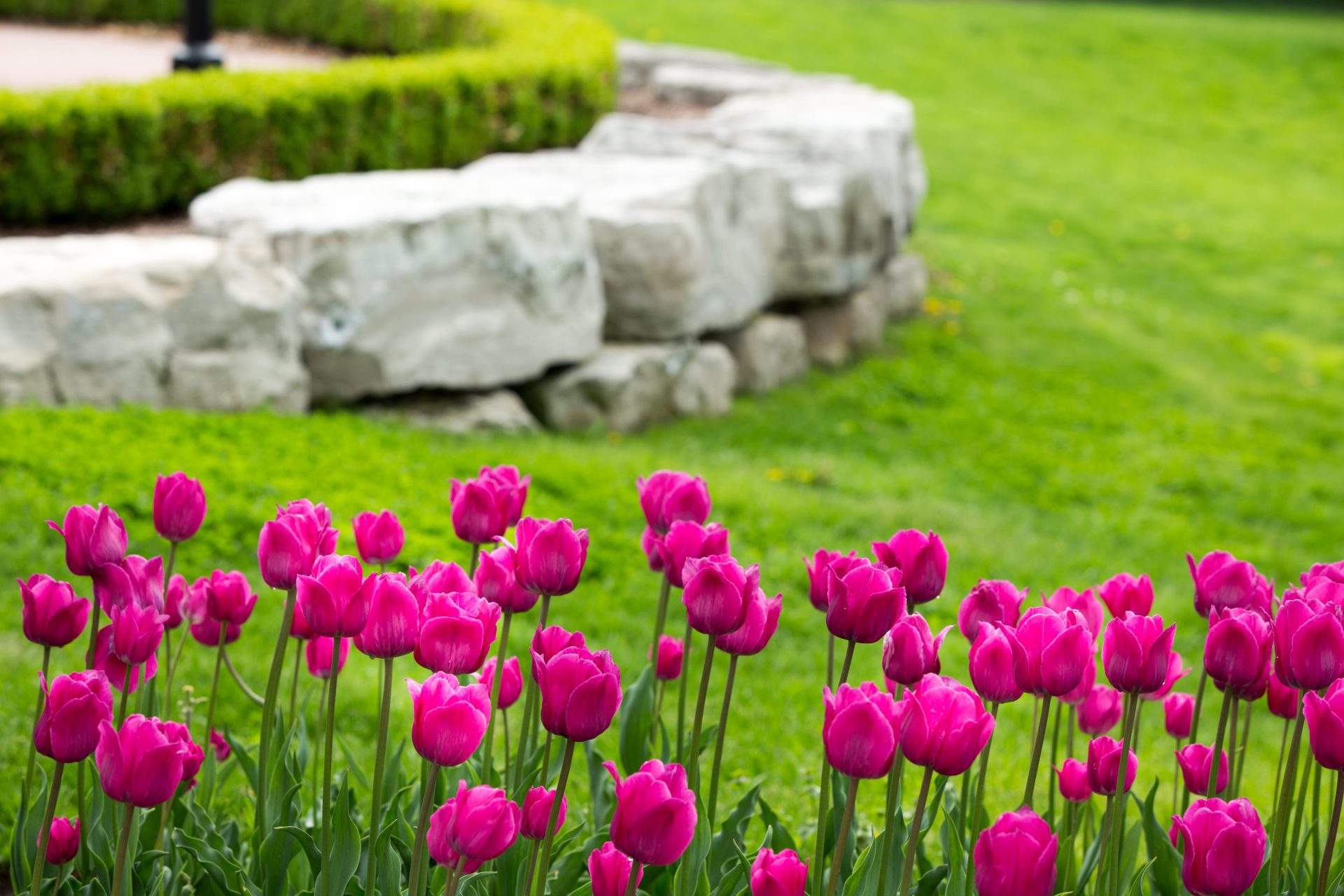 shutterstock_258503669